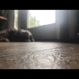 Meet your Posher, Jenny